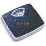 指針式體重稱 磅 Platform scales