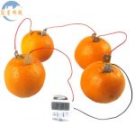 水果電池實驗器材 Fruit battery experiment set