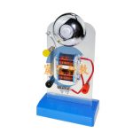 電鈴原理實驗套裝 Electric Bell Experiment Set Electromagnet