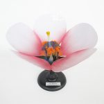 花的構造模型（桃花）Flower Structure Model (Peach)
