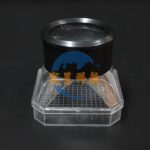 帶放大鏡 生物 昆蟲觀察盒 大號 Insect observation box