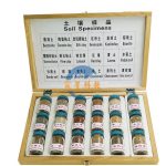【多種規格】土壤標本 Soil specimens