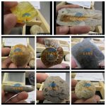 天然古生物化石標本盒裝 9件