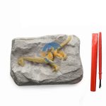 DIY挖掘恐龍 DIY Dig Dinosaur Archaeological Scene
