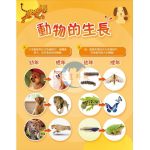 動物的生長掛圖（幼年與成年對照圖）