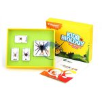 琥珀式蜘蛛套裝標本