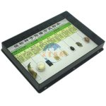 植物種子傳播方式標本