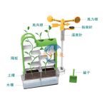 植物迷宮diy生物種植種子材料包